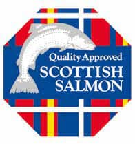 scottish salmon
